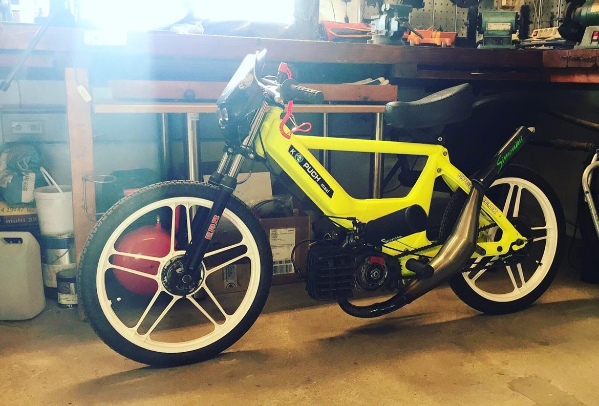 Puch Maxi k 74cc projekt billede 2