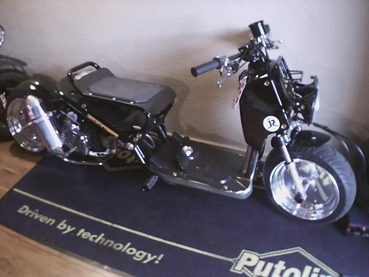 Honda zoomer custom