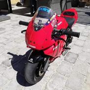 Polini 910 Carena S Desmosedici SOLGT