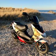 Aprilia Ditech