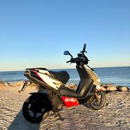 Aprilia Ditech