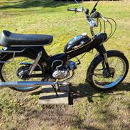 Puch Ms50 