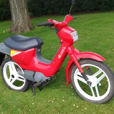 Honda Wallaroo pk50