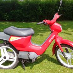 Honda Wallaroo pk50