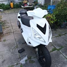 Peugeot speedfight 3 2takt
