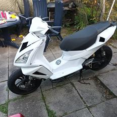 Peugeot speedfight 3 2takt
