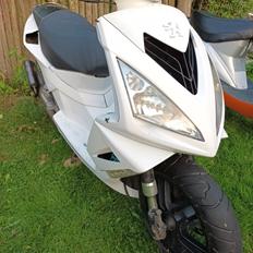 Peugeot speedfight 3 2takt