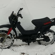 Yamaha Sting sg50 (Snow Edition)