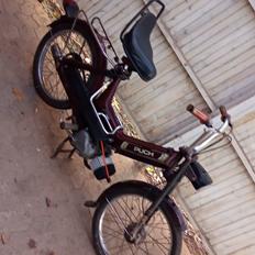 Puch Maxi k