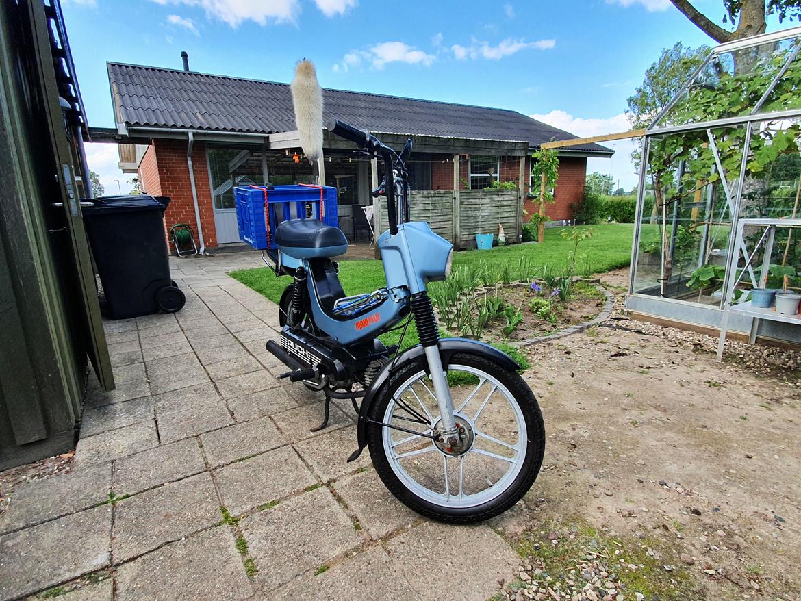 Puch maxi plus ll billede 5