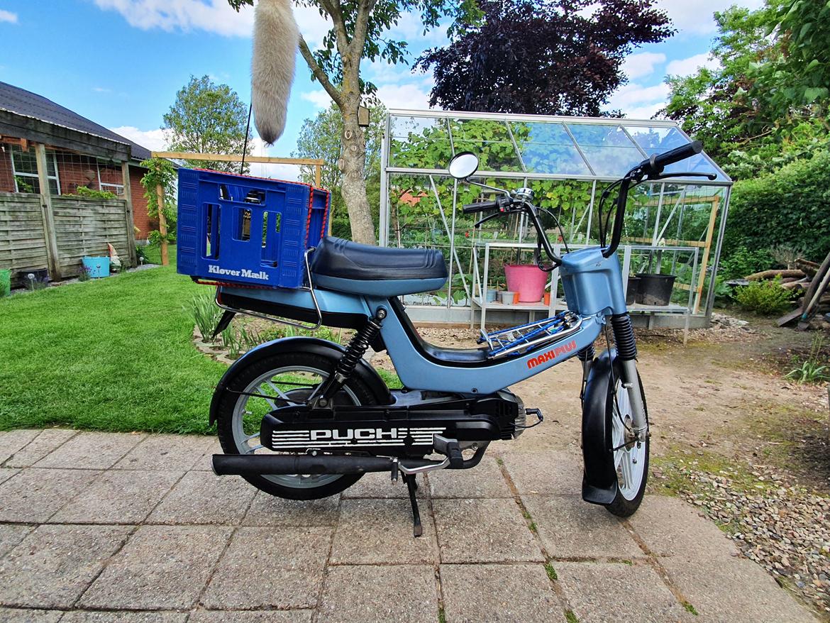 Puch maxi plus ll billede 6