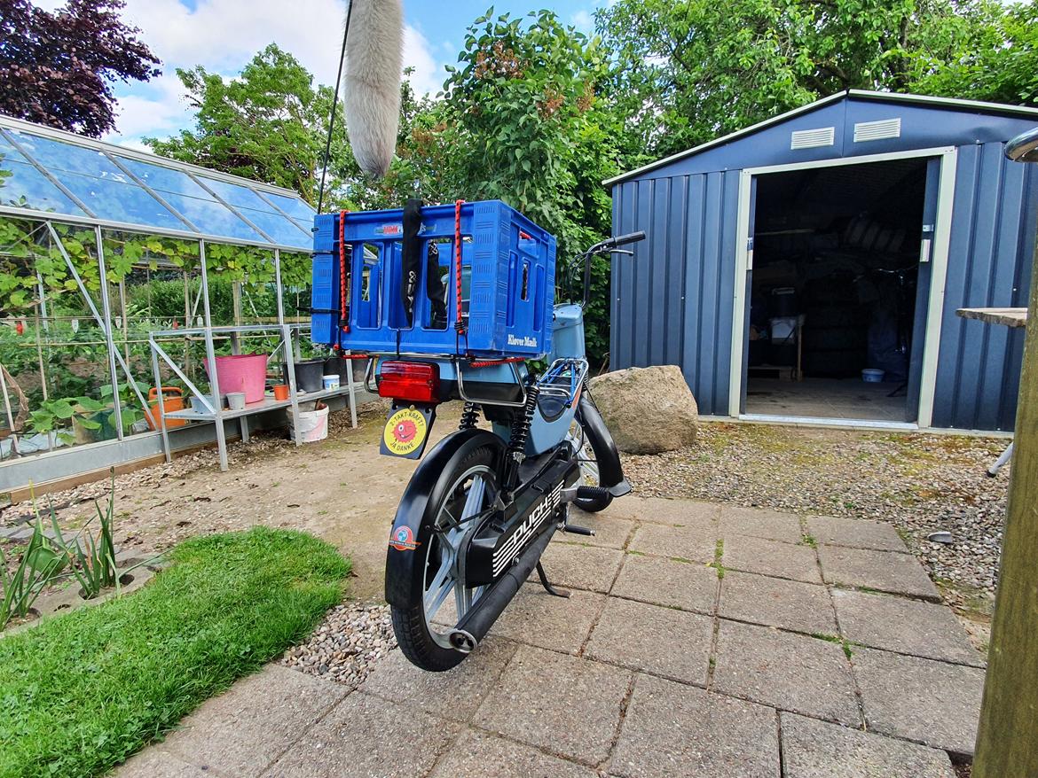 Puch maxi plus ll billede 7