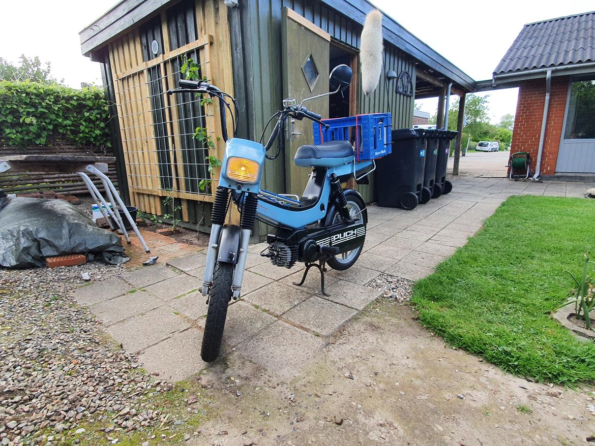 Puch maxi plus ll billede 10