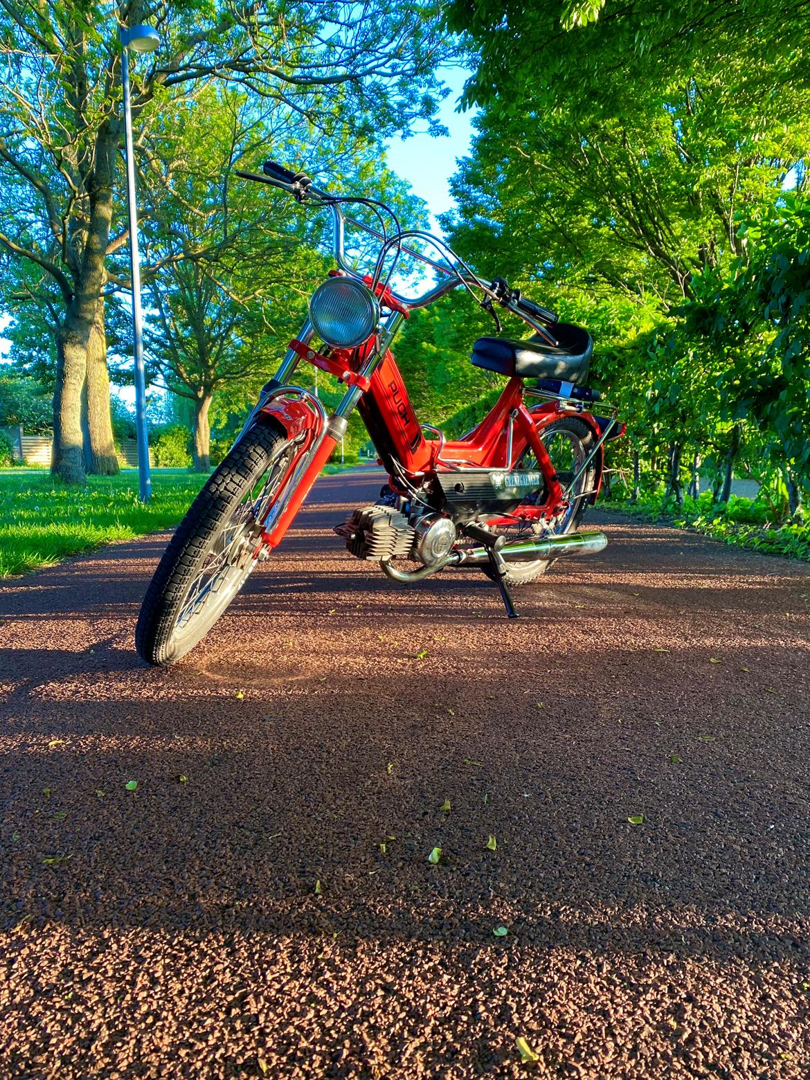 Puch Maxi K billede 8