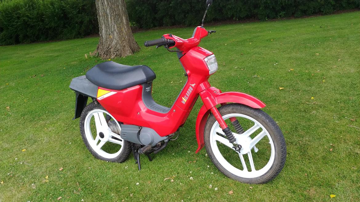 Honda Wallaroo pk50 billede 2