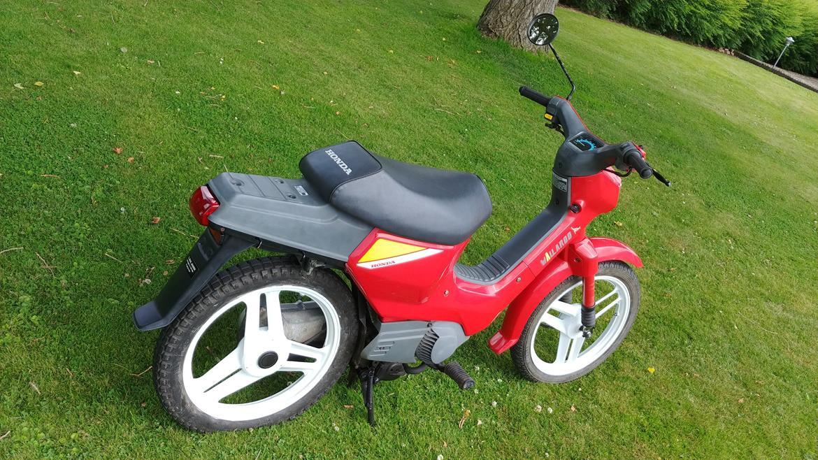 Honda Wallaroo pk50 billede 8