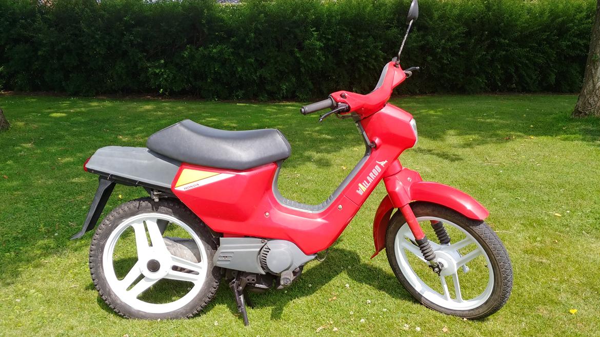 Honda Wallaroo pk50 billede 1