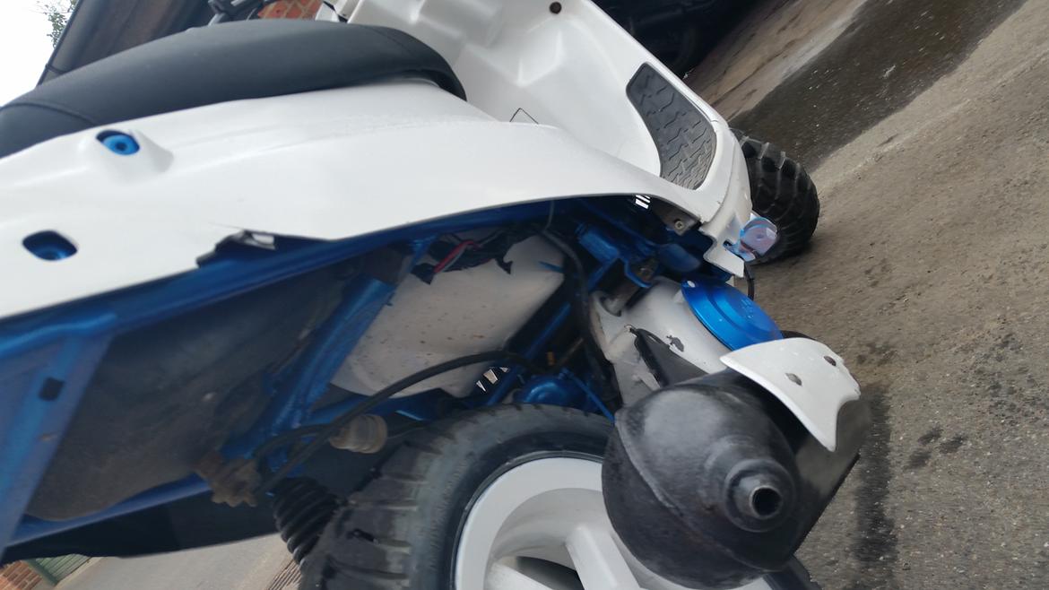 PGO Hottie 50  billede 4