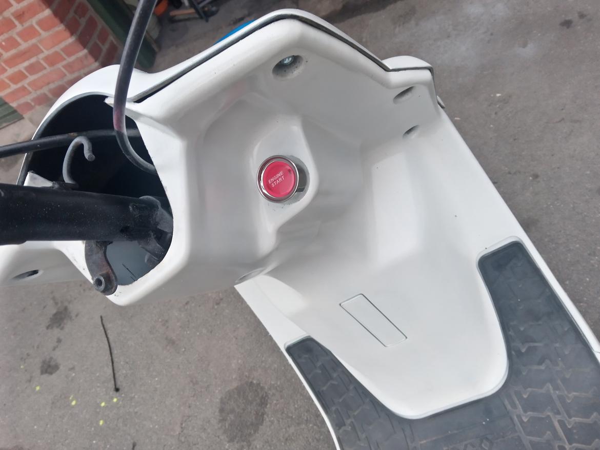 PGO Hottie 50  billede 6