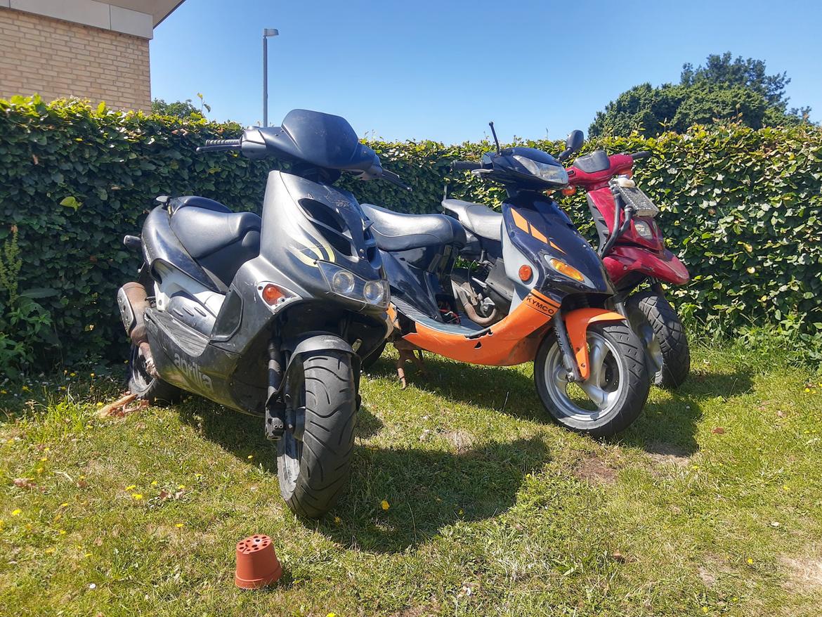 Aprilia Sr50 ditech  billede 5