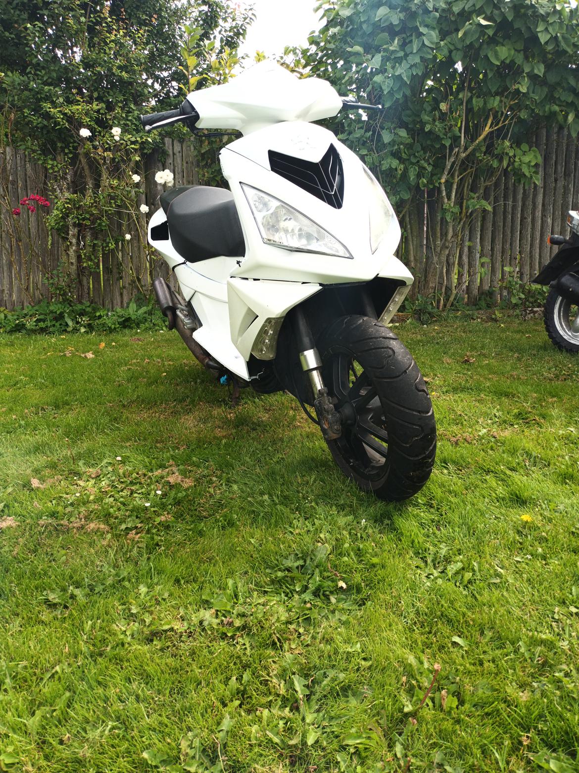 Peugeot speedfight 3 2takt  billede 8