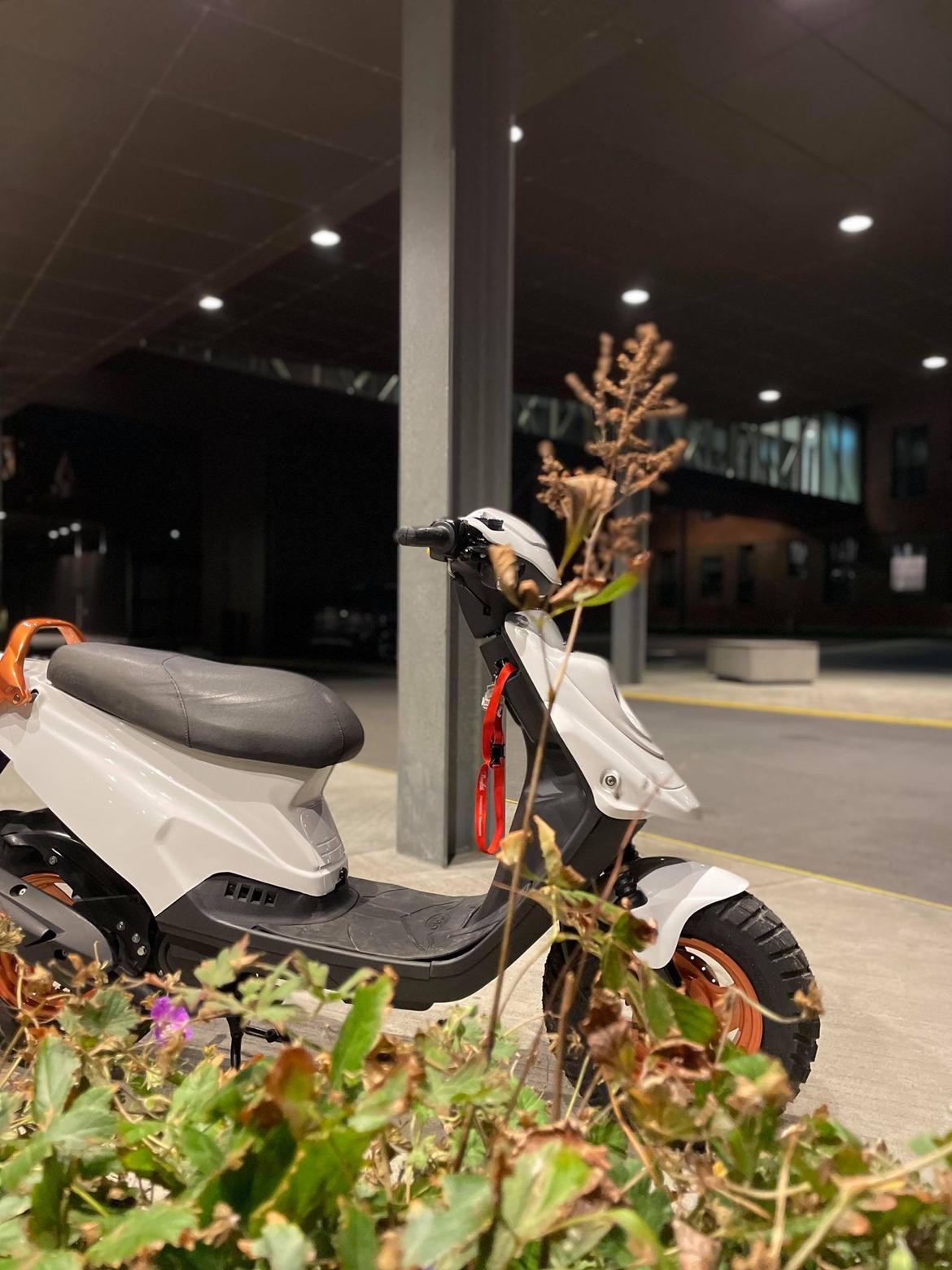 PGO Hot 50 (før pladeloven) billede 12