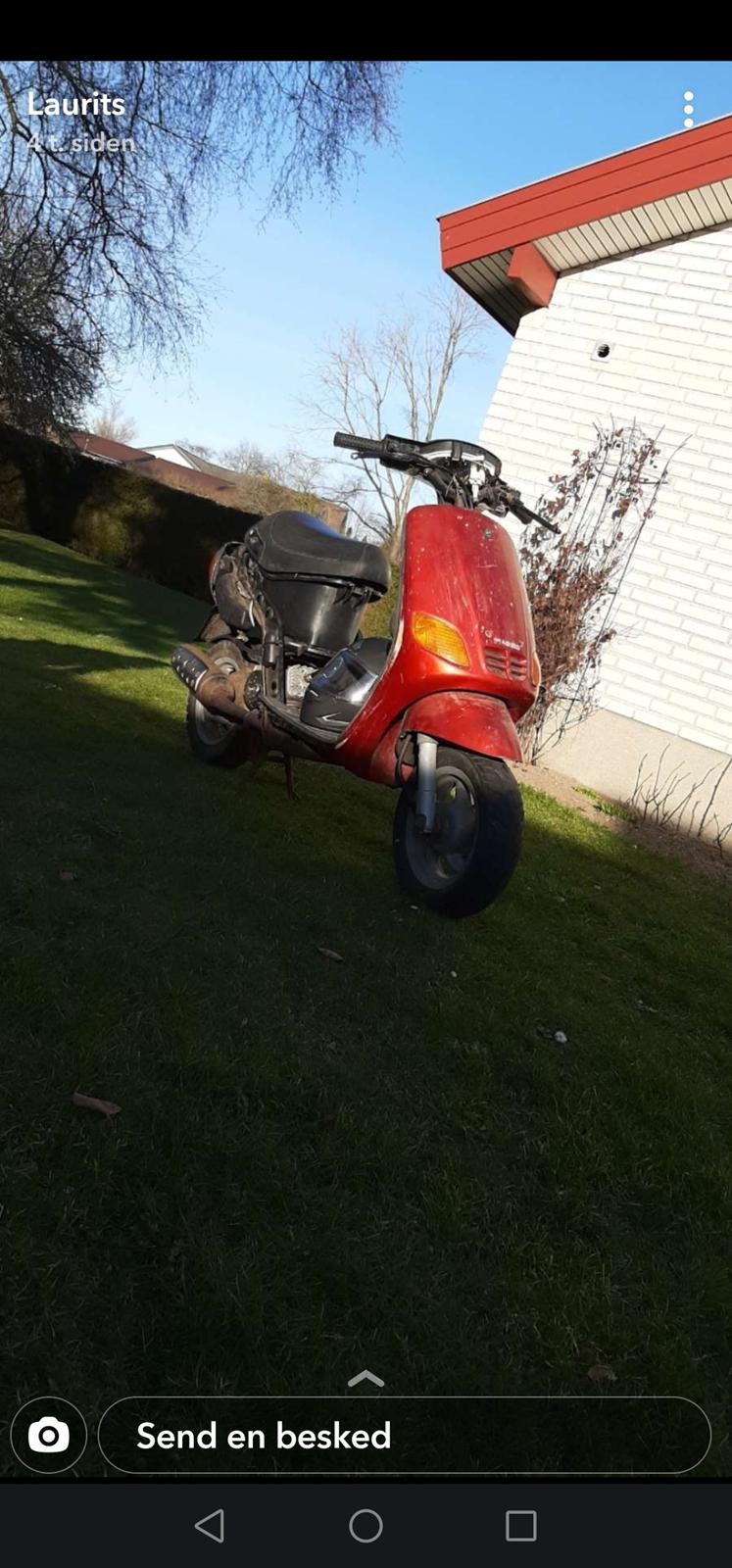 Piaggio Old zip billede 12