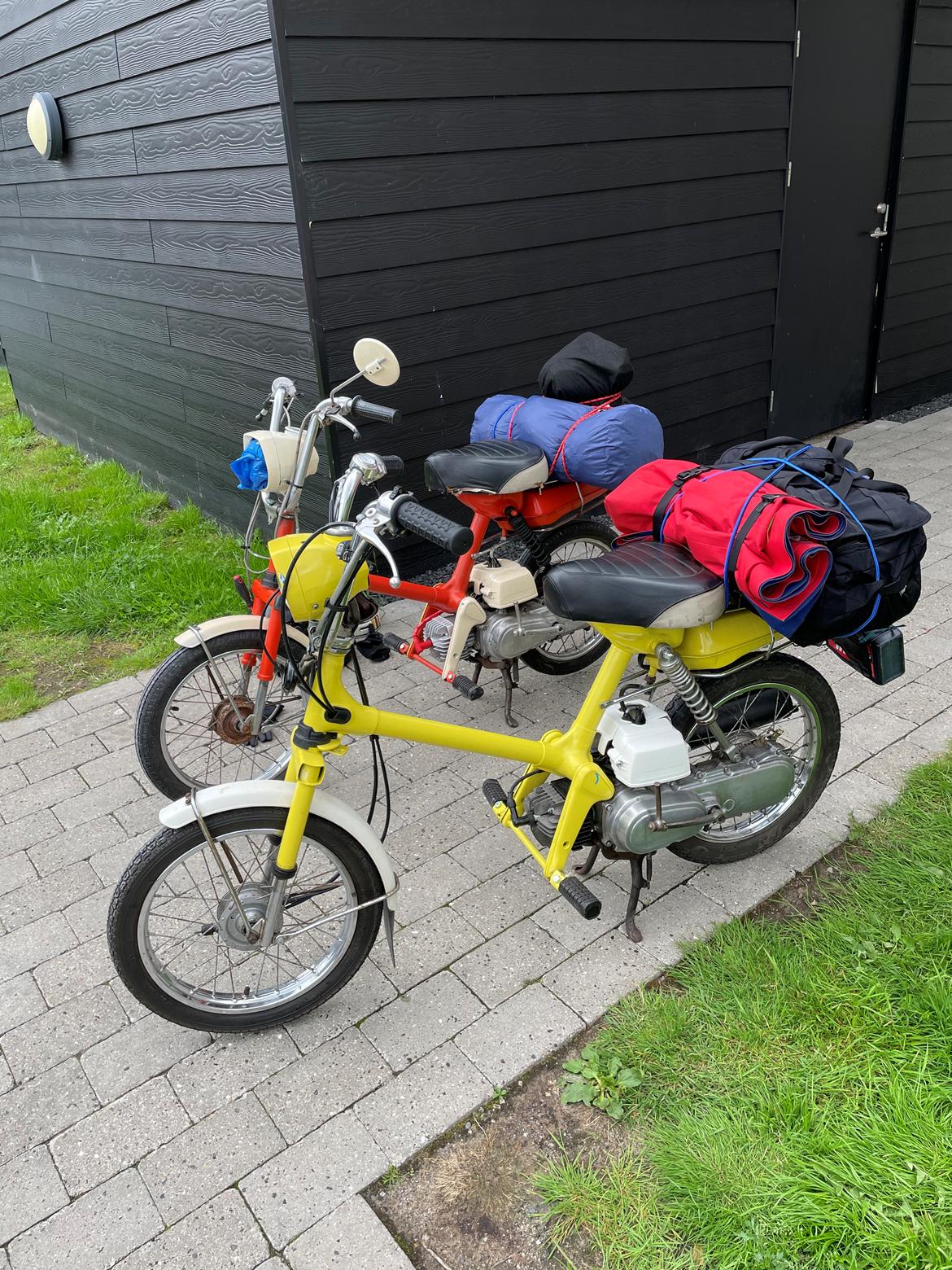 Honda Express billede 12