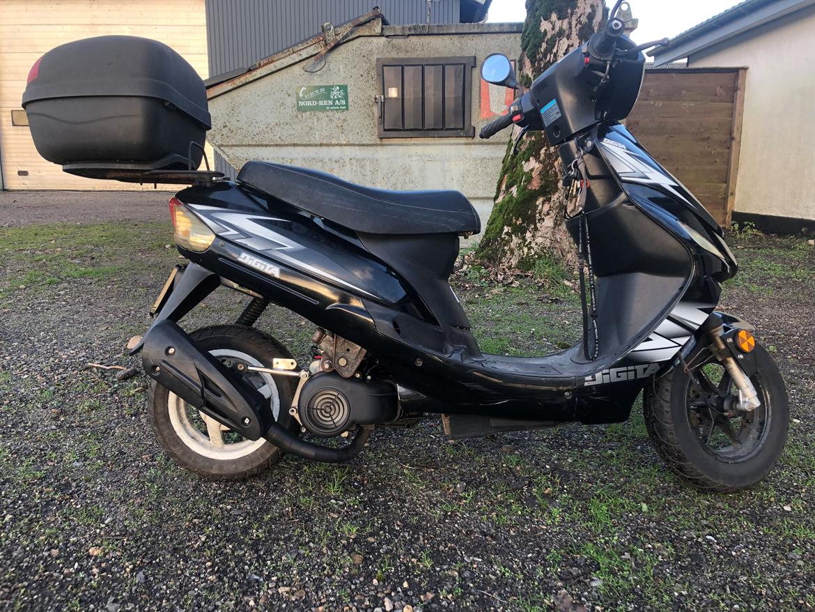 VGA Digita (bodegalynet) billede 1