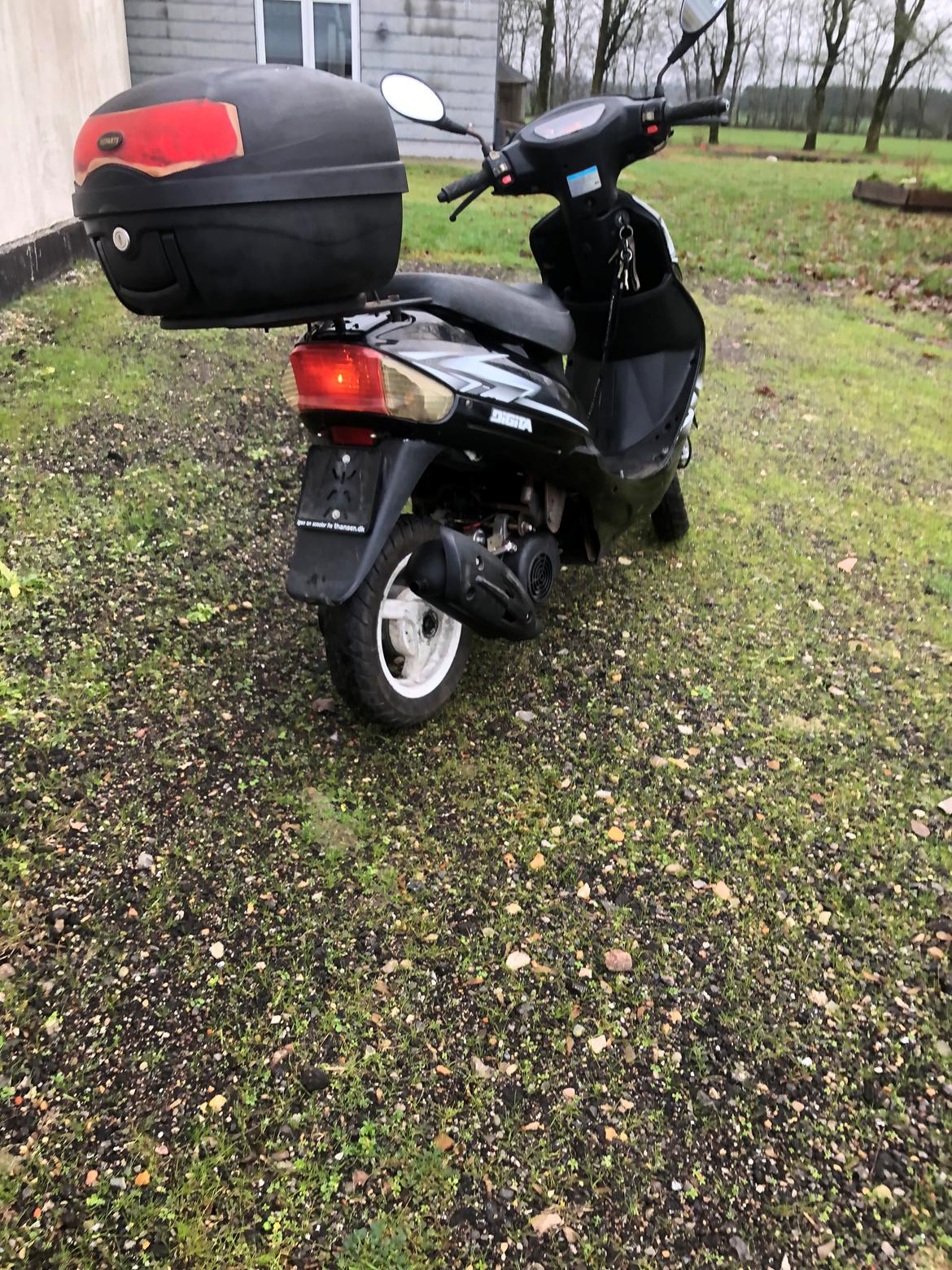 VGA Digita (bodegalynet) billede 3