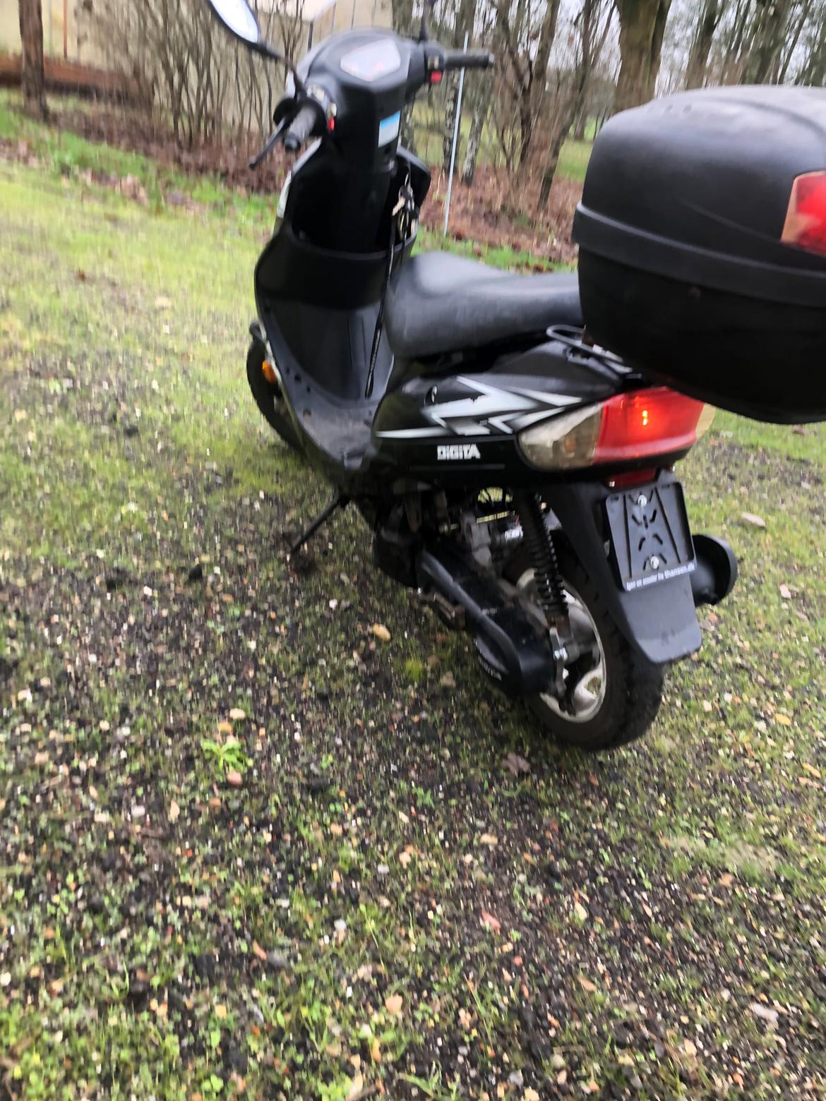 VGA Digita (bodegalynet) billede 4