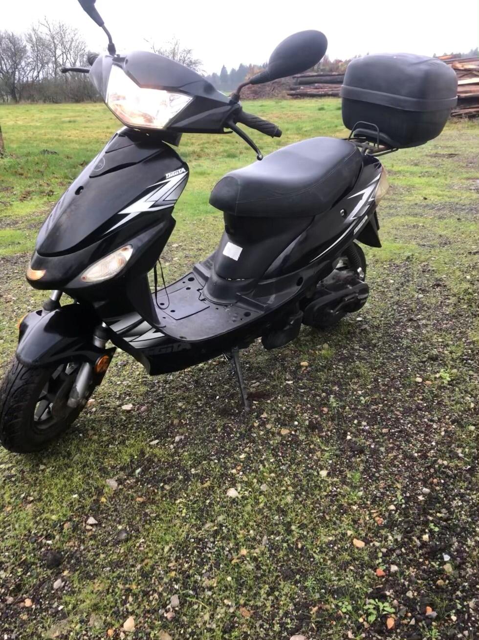 VGA Digita (bodegalynet) billede 5