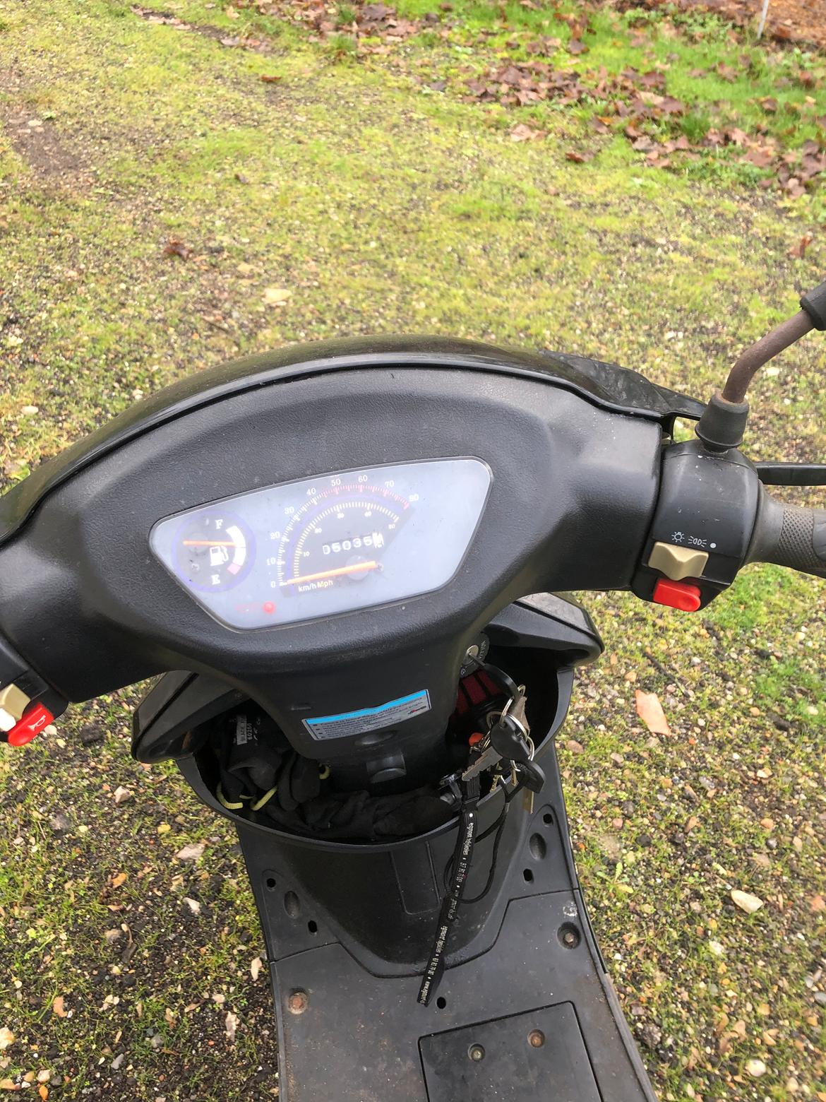 VGA Digita (bodegalynet) billede 6