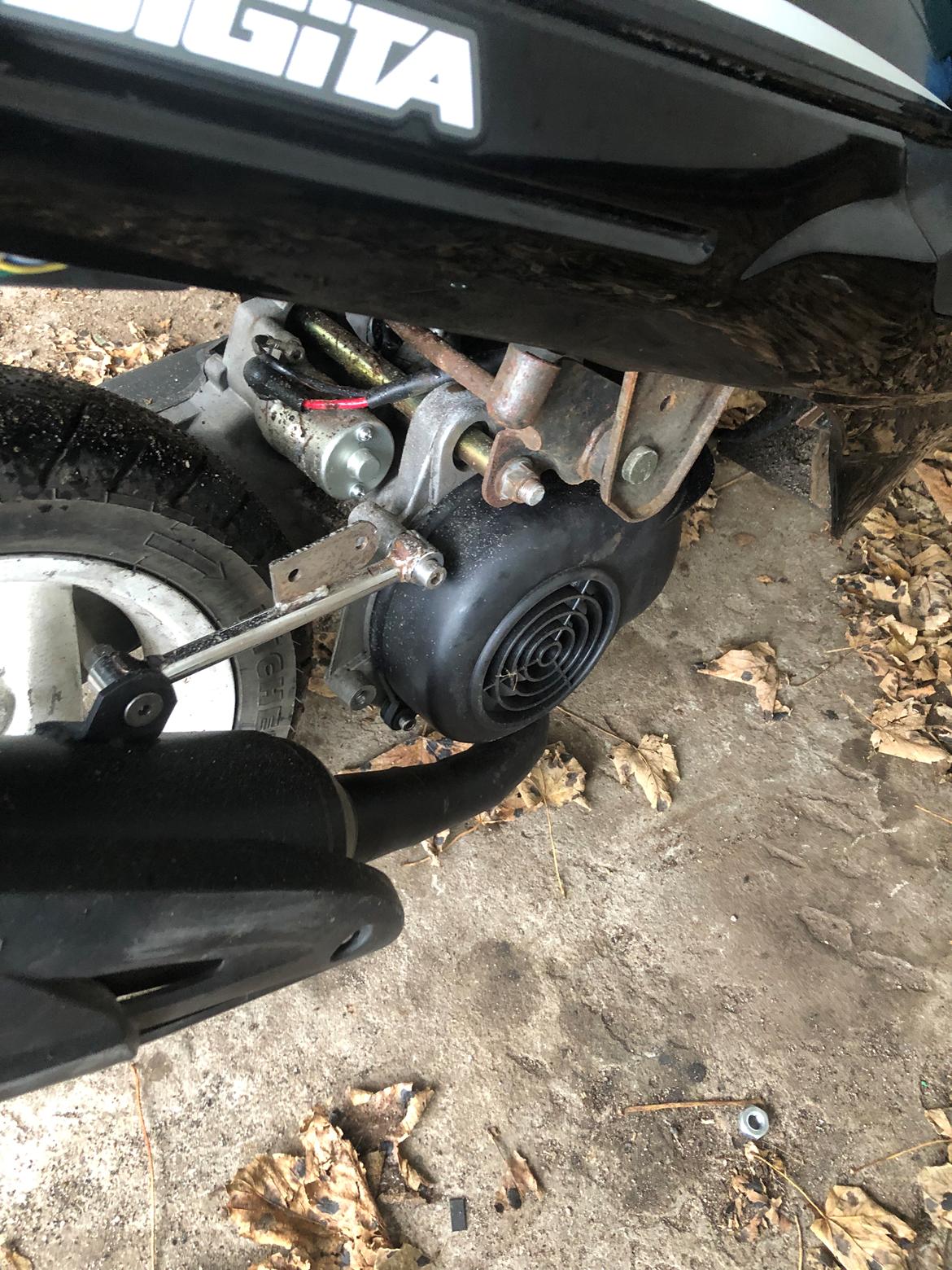 VGA Digita (bodegalynet) billede 7