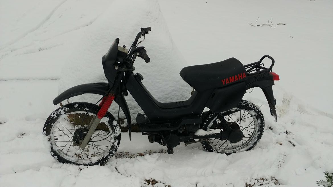Yamaha Sting sg50 (Snow Edition) billede 2