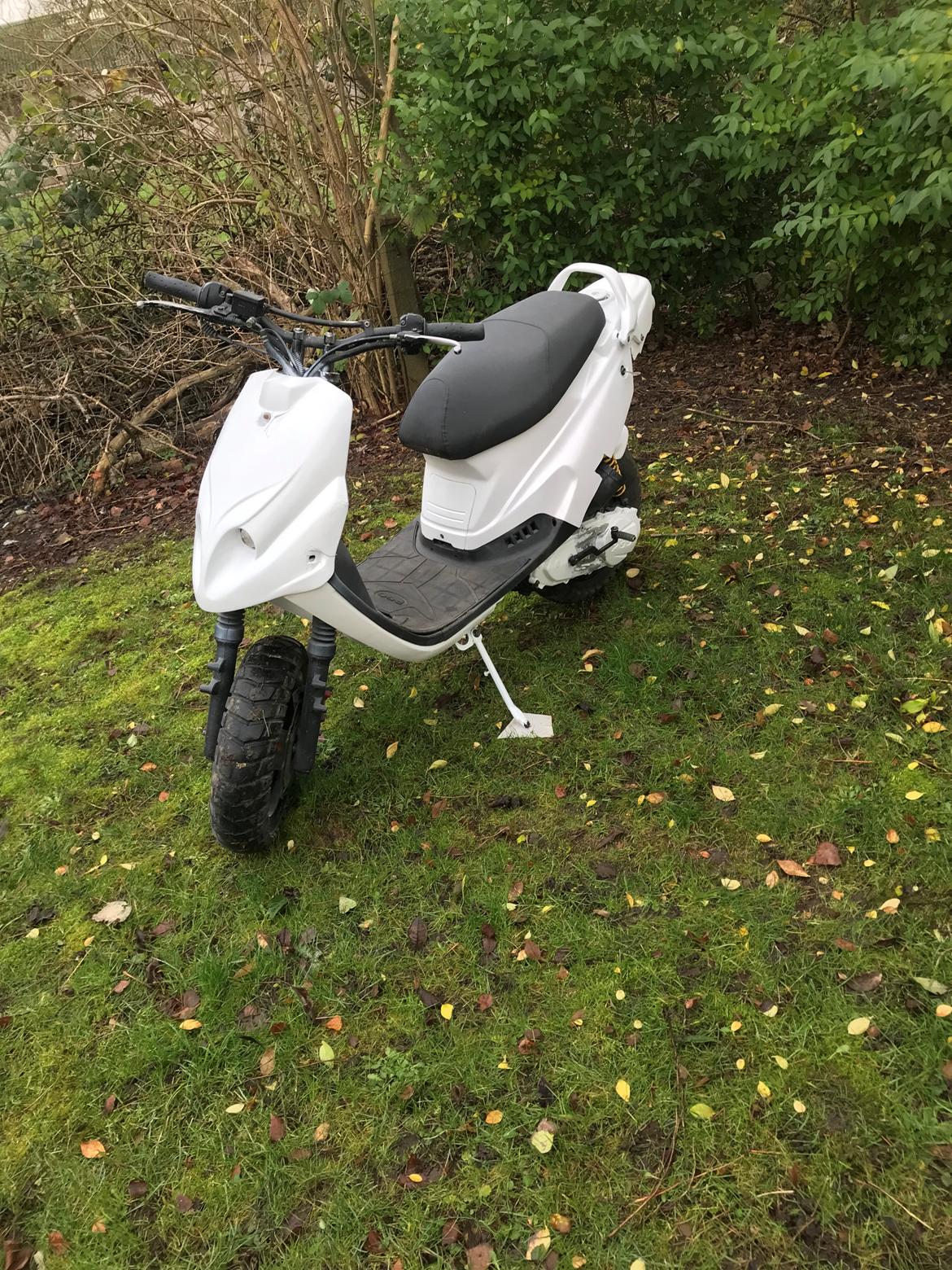 PGO Hot 50 billede 1