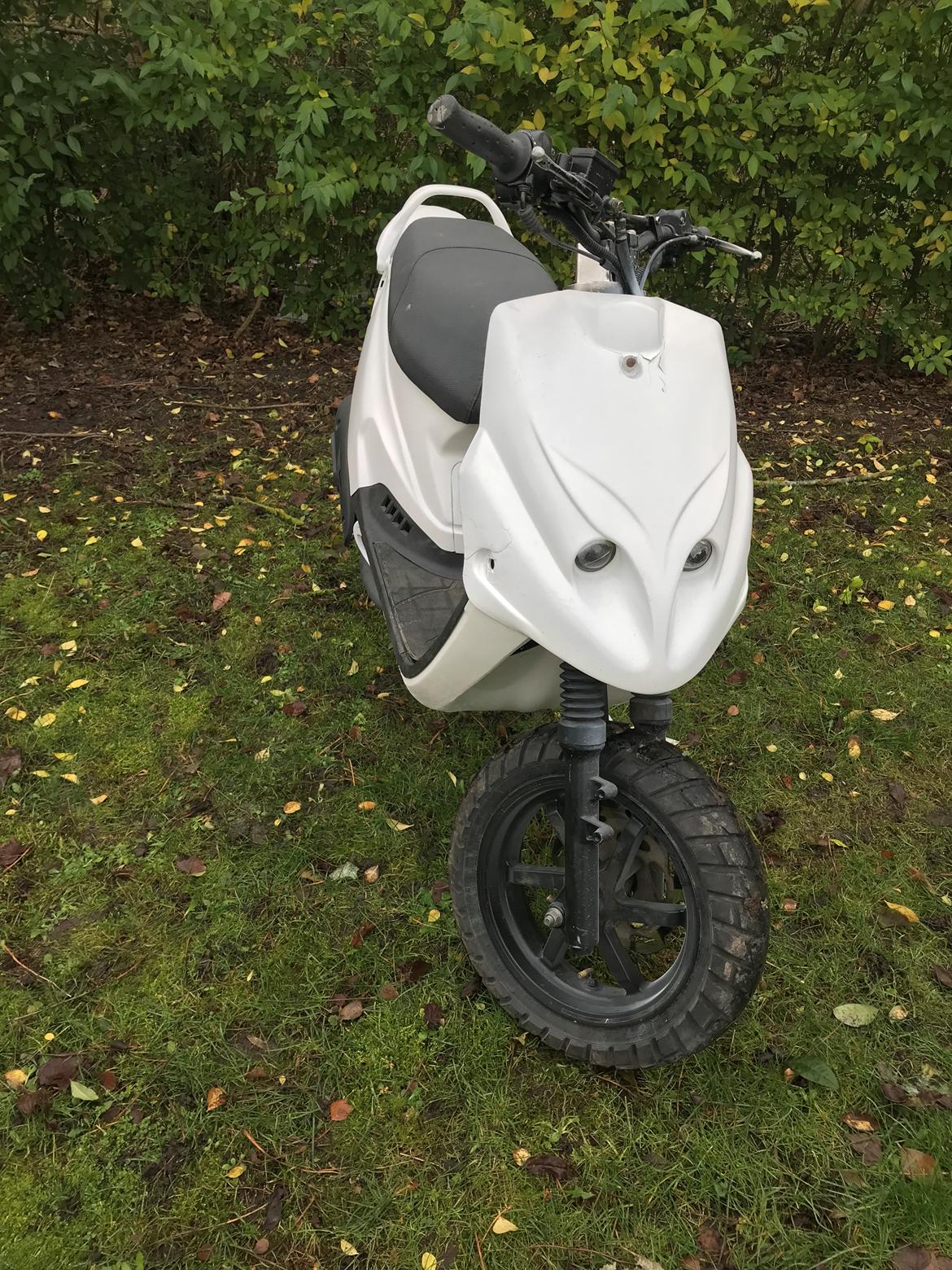 PGO Hot 50 billede 2