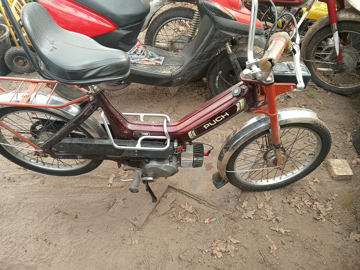 Puch Maxi k billede 6