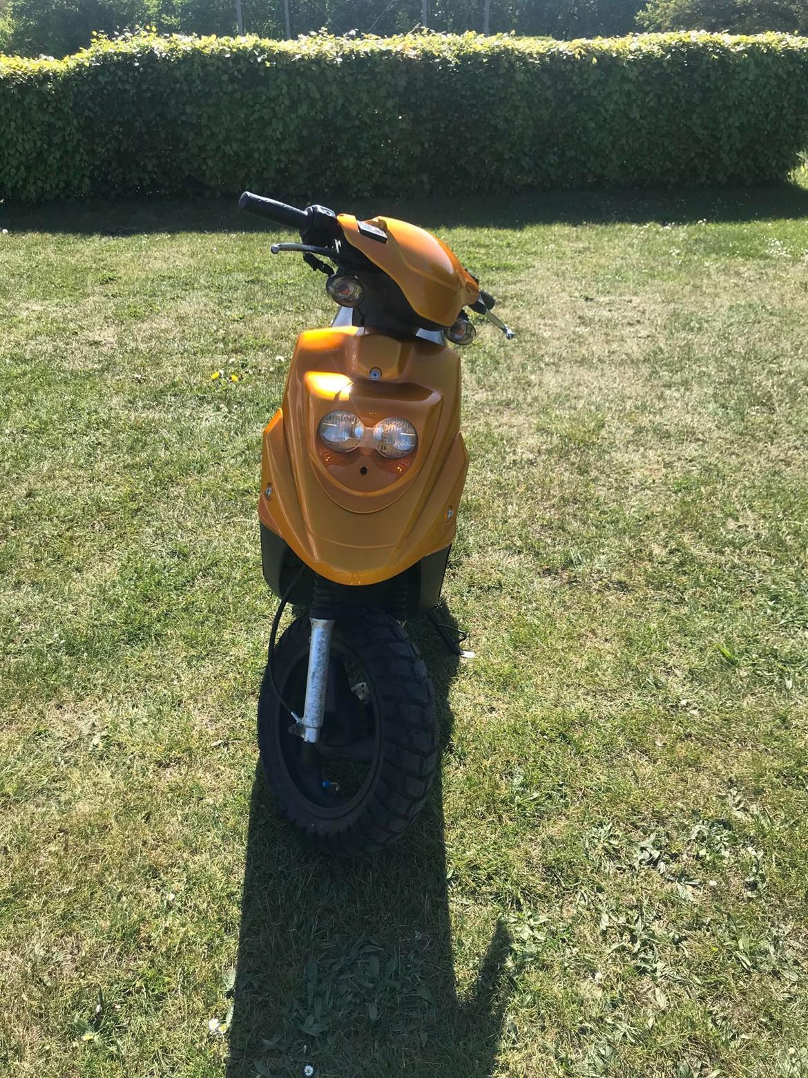 PGO Hot 50  billede 1