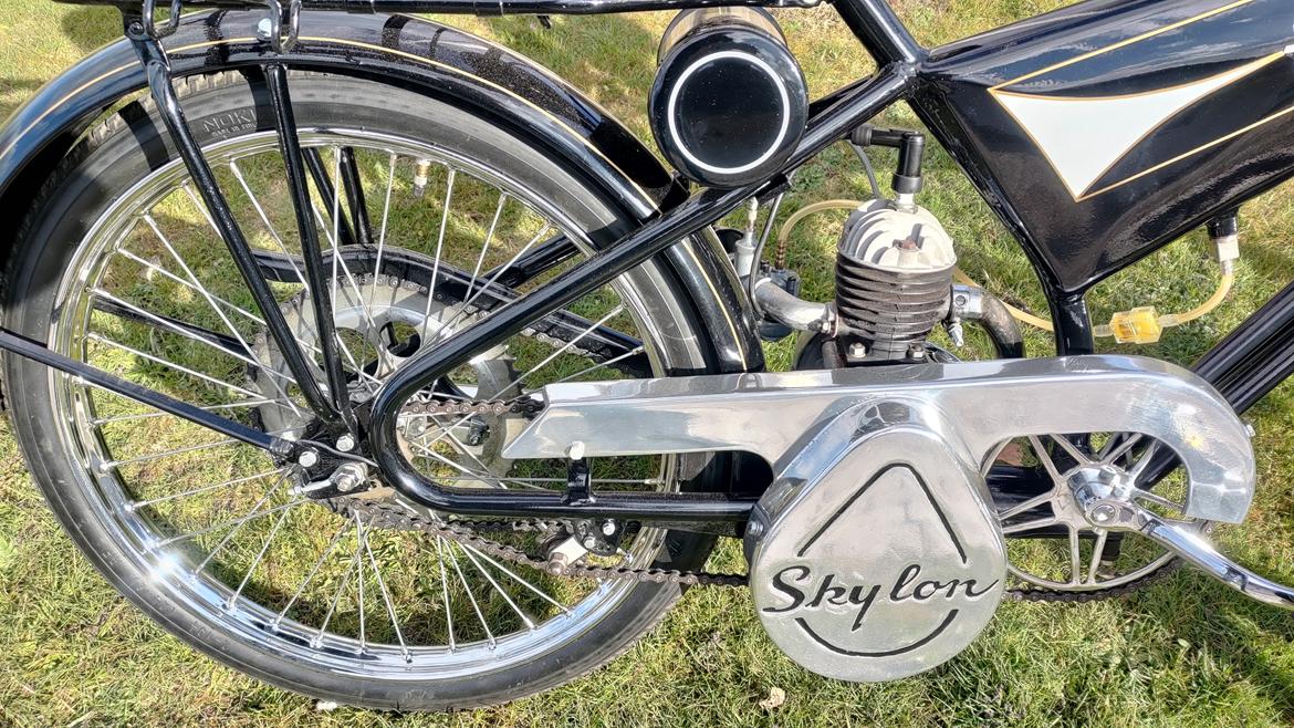 Veteraner Skylon 55 (Fladtank) billede 13