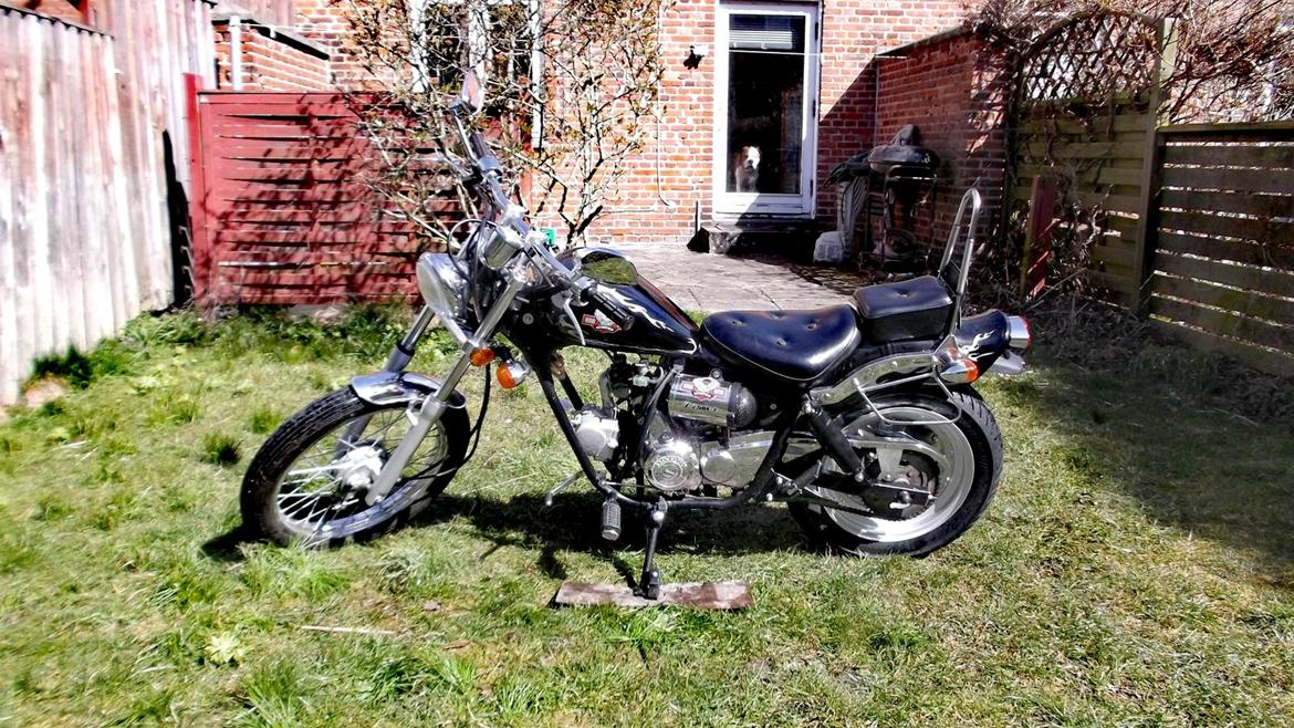 Regal Raptor DD50E-2 DADYW 45 knallert - nu billede 6