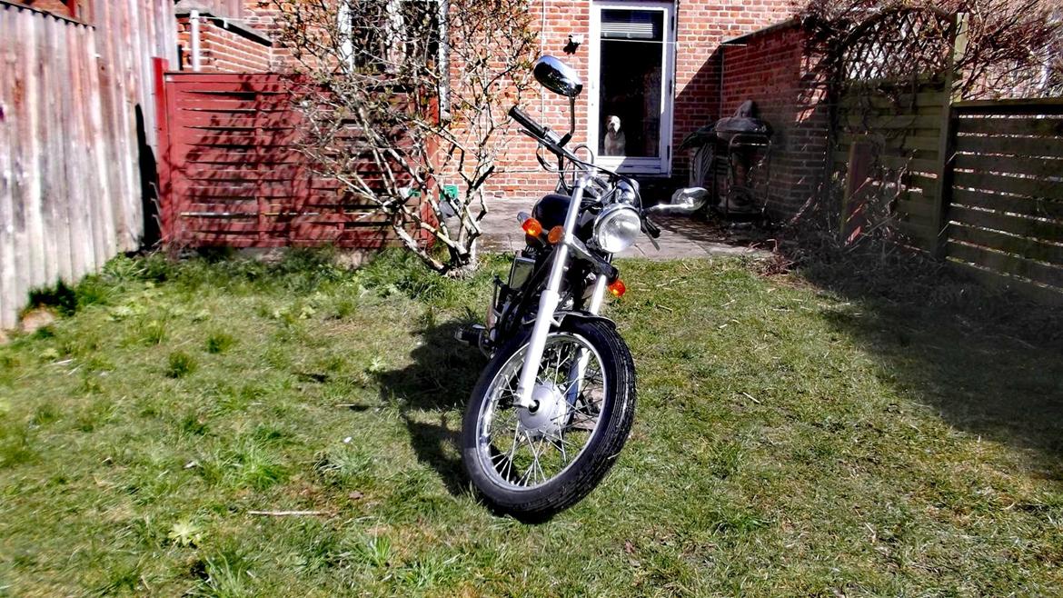 Regal Raptor DD50E-2 DADYW 45 knallert - nu billede 8