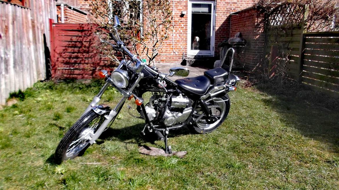 Regal Raptor DD50E-2 DADYW 45 knallert - nu billede 7