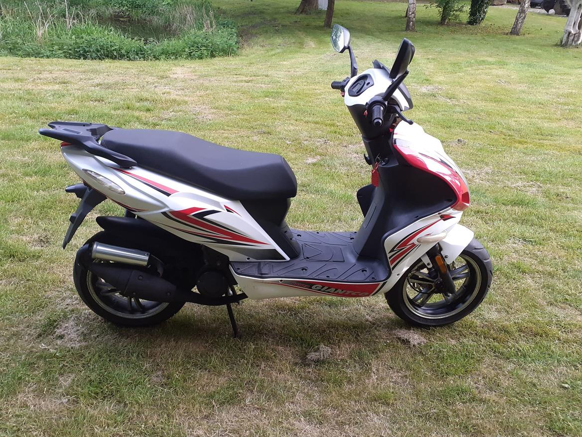 Giantco G-10 billede 4