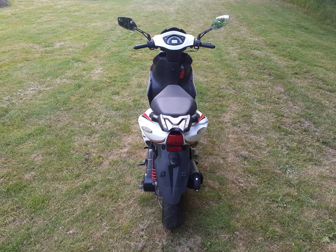 Giantco G-10 billede 5