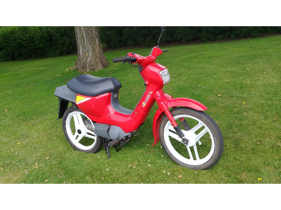 Honda cheapest Wallaroo PK50