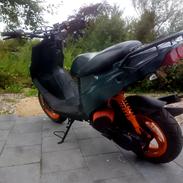 PGO Hot 50