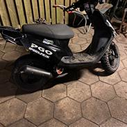 PGO Hot 50