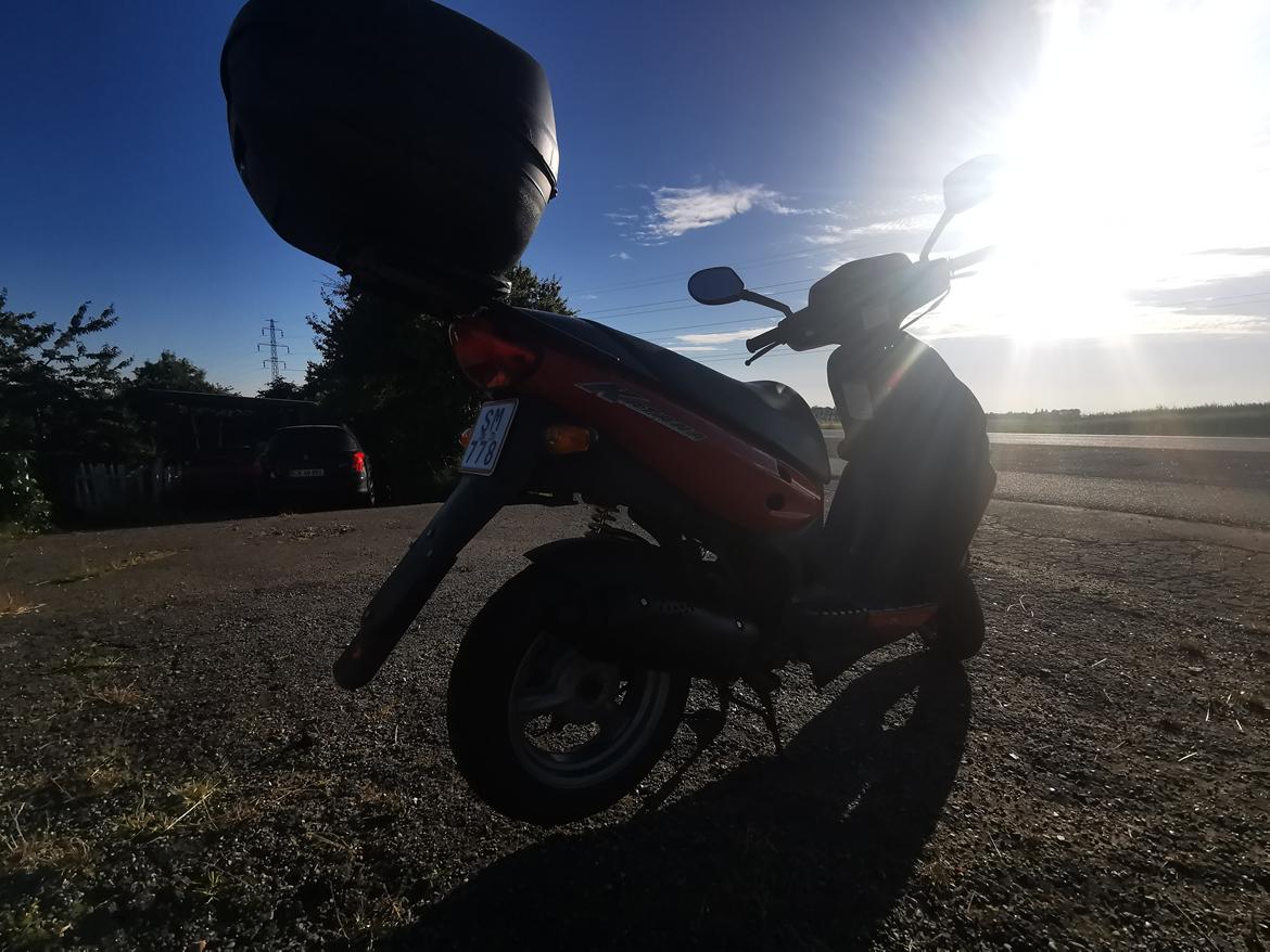 Suzuki Katana AY 50 W billede 8