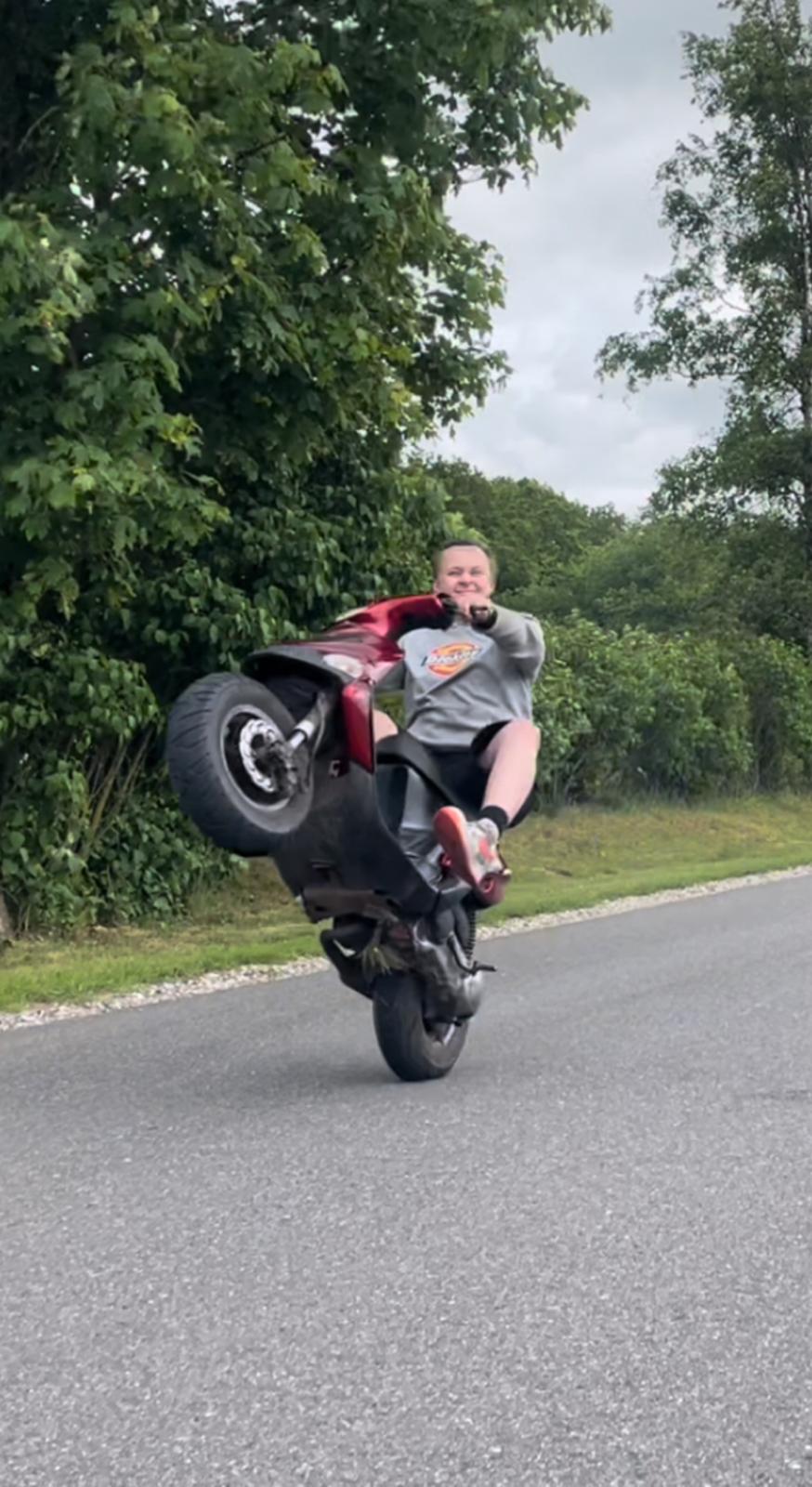 Gilera Stalker 50 (Solgt) billede 1